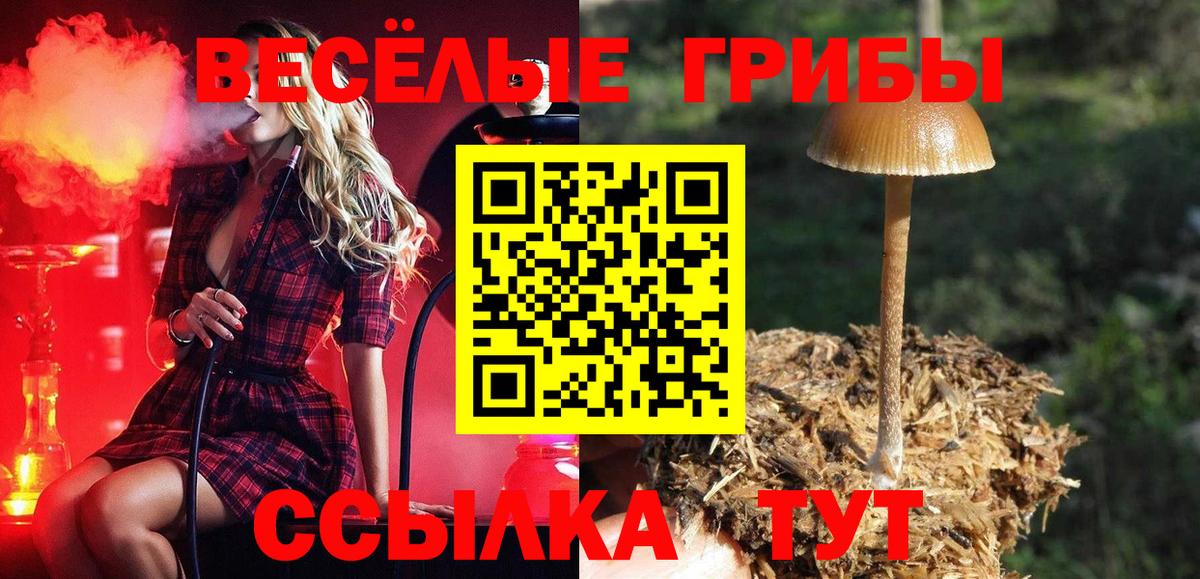 Меф МЯУ МЯУ   COCAIN  Карталы  Вход с VPN 